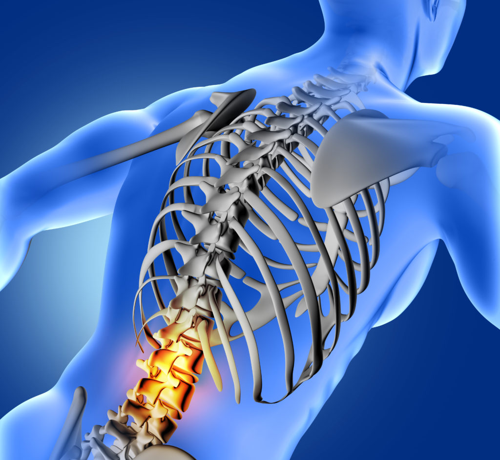 3D render of a blue medical image of male figure with lower spine highlighted