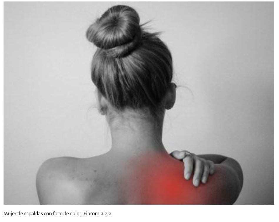 Captura de pantalla 2023-06-19 a las 11.09.41 a. m.